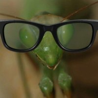 junebug (@gorgeousjunebug) 's Twitter Profile