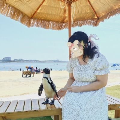 rabbit-sky🌙🐇🐟@NMLV 公開リハ𝑎𝑛𝑑千秋楽さんのプロフィール画像