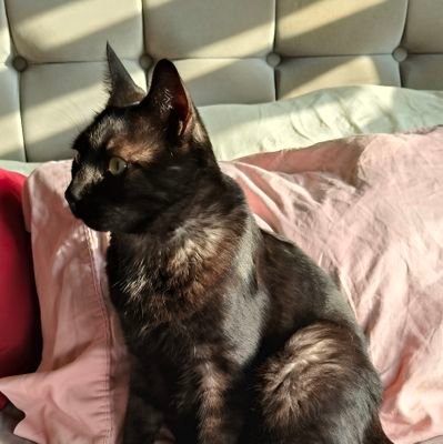 hadaelda's profile picture. 😁