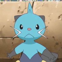 solidtomz (@rikuwa_) 's Twitter Profile