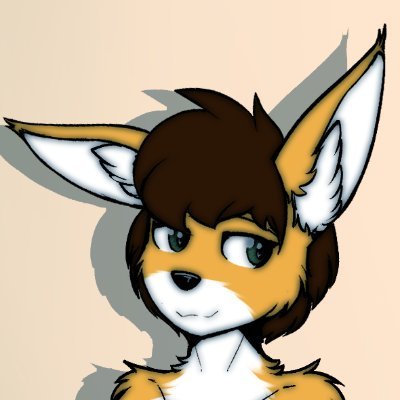 18+ / I like space, history, guns, and furries / Python is better than Java / Mankind's future is among the stars