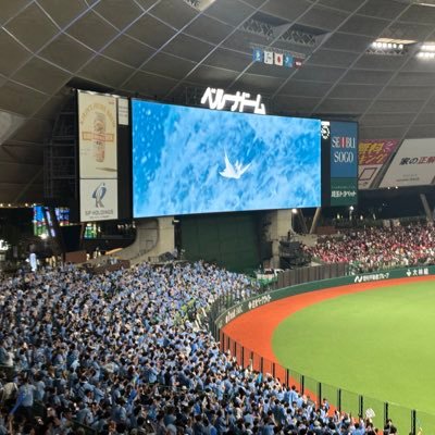 西武ライオンズファン歴40年越 の箱推しです。 ベルーナドーム以外に神宮にもたまに行きます。無言フォローお許しください。