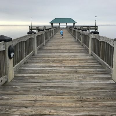 Tawhirimatea19's profile picture. 