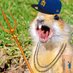GoofyGopher | Mariners WS Believer (@goofygopher323) Twitter profile photo GoofyGopher | Mariners WS Believer (@goofygopher323) Twitter profile photo