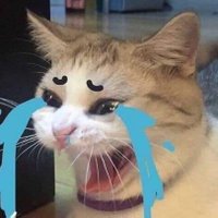vanhusa (@vanhusa) 's Twitter Profile