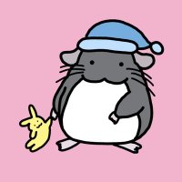 虚無のチンチラ (@kyomu_chilla) 's Twitter Profile Photo