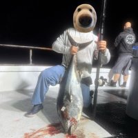 Atboy (@_atboy) 's Twitter Profile