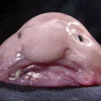 1v59公式アカウント (@1v59official) 's Twitter Profile Photo