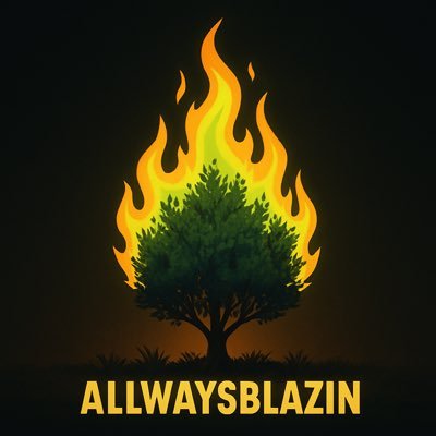 blazin’ thru the meme coin jungle 🌴 no promises, just signals & smoke 💨 tap in → https://t.co/TgfnkwNl8w