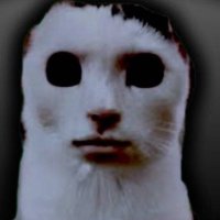かねこ²雑多 (@takenoko_fucker) 's Twitter Profile Photo