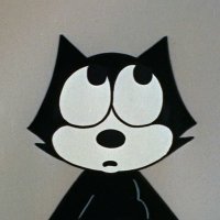 Levi (@efb_levi) 's Twitter Profile