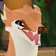 psychology enjoyer! / thylacine🐅 / animal activist🐾 / gay
