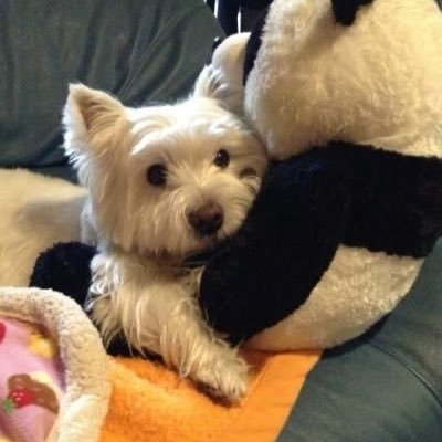 betterendbetter's profile picture. 