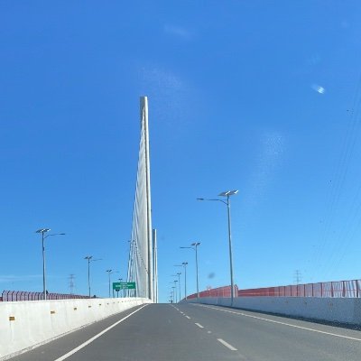 Rodrigo45994709's profile picture.