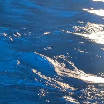 Bluesoul27's profile picture. 取引垢