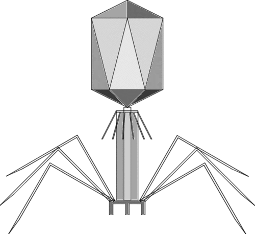 rakujin's profile picture. 座右:従容閑雅　/日常の切取/木工/ポリティカルネタ/真実の歴史/
FC2Blog: https://t.co/8DBnmAYvKc
阿波古代史・古事記は主にFBで/

バイク・ツー・キャンプは趣味アカで
東琤（とうそう）@tousou12 / 
YouTube「rakujin touso」も宜しく