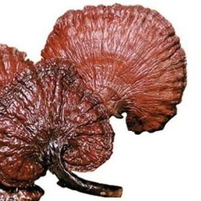 ما من مسلم إلا وهو قائم على ثغرة من ثغر الإسلام فمن استطاع ألا يؤتى الإسلام من ثغرته فليفعل.