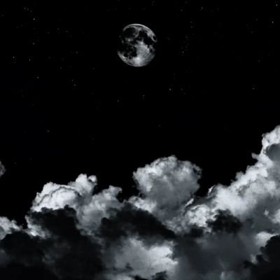 Sayuri95566's profile picture. 
