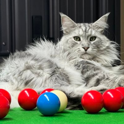 HangWu23023's profile picture. 