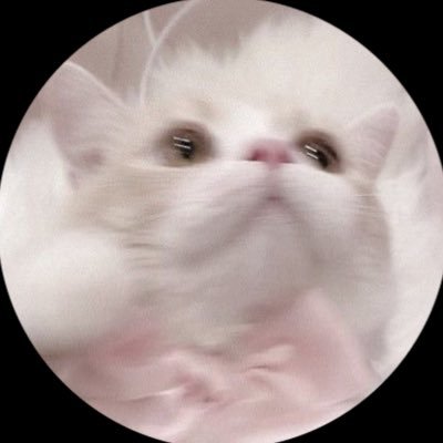20↑ 取引経験多数あり