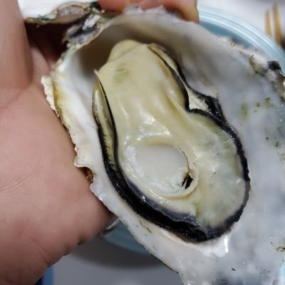 gSd0SCkNmd78529's profile picture. 