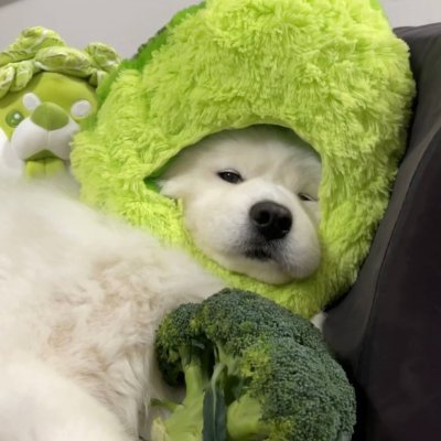 jojouiun_'s profile picture. 