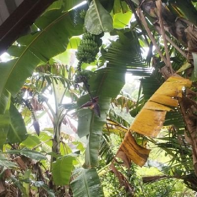 @SaikumarSuvvada