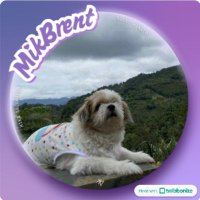 clairethromycin; (@clairelovesriva) 's Twitter Profile Photo clairethromycin; (@clairelovesriva) 's Twitter Profile Photo