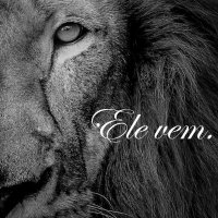 A Profecia! (@livrodaprofecia) 's Twitter Profile Photo