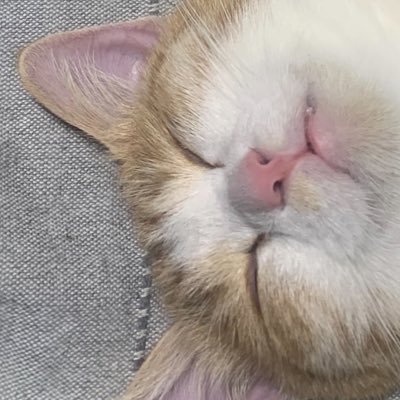 mihiro2503's profile picture. こっちは趣味&つぶやきアカ
