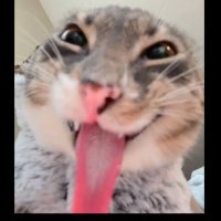 Tharki Billa 2.0 (@pervtharkibilla) 's Twitter Profile Photo Tharki Billa 2.0 (@pervtharkibilla) 's Twitter Profile Photo
