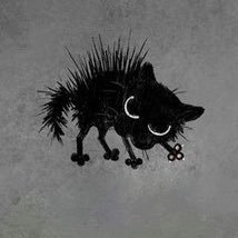 Mason11879's profile picture. 