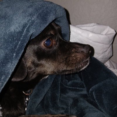 Kaidan45281's profile picture. 