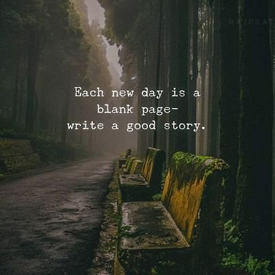 Trader , Influencer , Funded trader
Dm For promotion