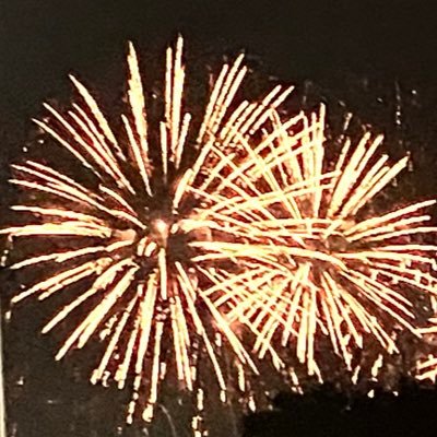 mkattoDMYGO's profile picture. 紙/大学用アカウント(マークあっと(@mrkattomain)の移行先です)