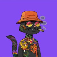 CAT (@catweb3_) 's Twitter Profile