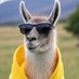 Guanaco 5digos (@guanaco_5digos) Twitter profile photo Guanaco 5digos (@guanaco_5digos) Twitter profile photo