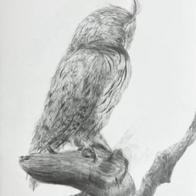 sarisari_2008's profile picture. 都内脆弱自営の税理士会計士。Big4で監査、M&A税務、今は会計税務顧問がメイン。相続税対策や上場監査役も少し。リカレント教育で’25国立大学院修士課程修了。25/8より趣味でチェロ