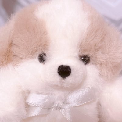 snwᙏ̤̫さんのプロフィール画像