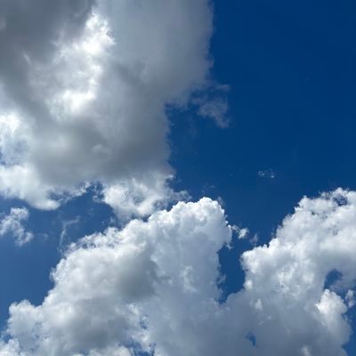 whoisclouded's profile picture. here to yap