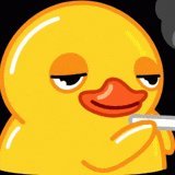 flowerfieldsss's profile picture. priv of @koitatea