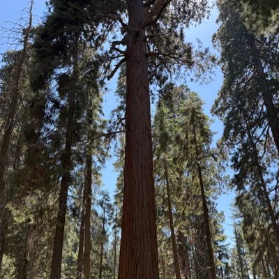 caguirre94's profile picture. human.