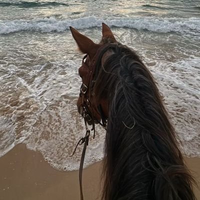 لا جميل يبقى ولا ماضي يعود دائماً استمر:)