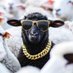 The black sheep (@trenchliquidity) Twitter profile photo The black sheep (@trenchliquidity) Twitter profile photo