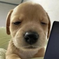 김시아 (@taksmanager_) 's Twitter Profile