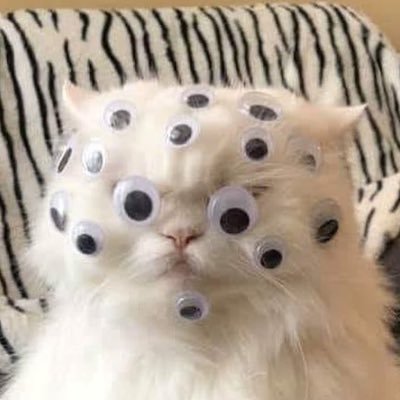 Co-host of the Virtual homework podcast with @Picantelive. ex-Game Store Owner. I ruin my life playing too many games. https://t.co/y8Oi4BmfEB