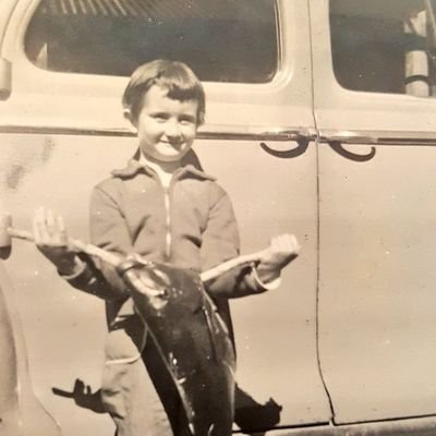 DoddsMaz's profile picture. Retired RN, RIP 18 yr old Molly dog. Love music - BE KIND. No excuses for genocide.