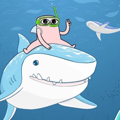 shark_qiekenao's profile picture. 