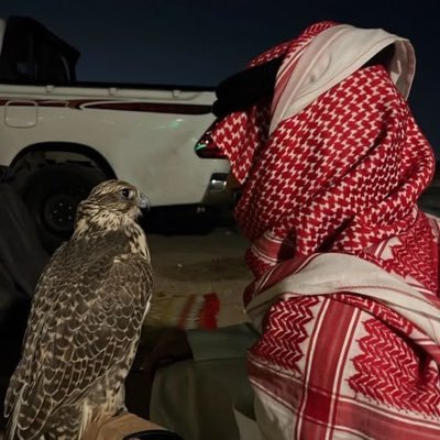 @salman305rr  الأساسي