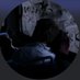 Am. (@i1rwll) Twitter profile photo Am. (@i1rwll) Twitter profile photo
